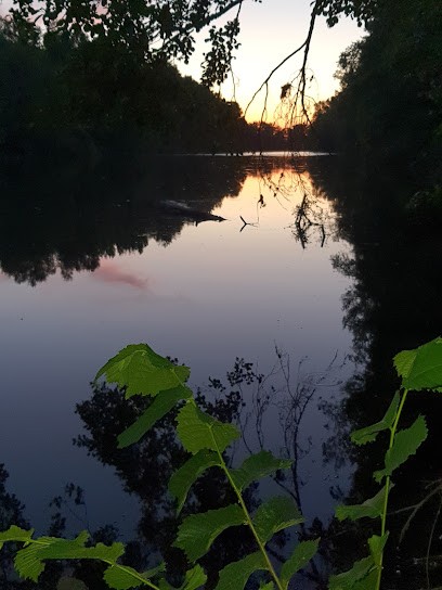 Pizza Like, Fast-Food à Nîmes