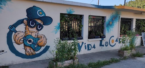 La Vida Locale, Fast-Food à Bessèges