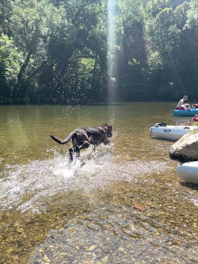 La Plage Des Robinsons, Fast-Food à Saint-Antonin-Noble-Val