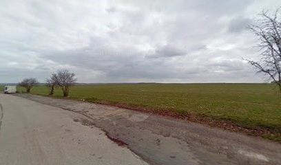 Les Toqués, Fast-Food à Croixrault