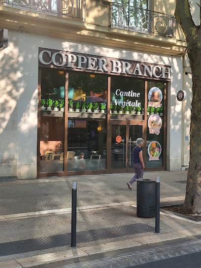 Copper Branch Nîmes, Fast-Food à Nîmes