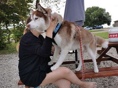 Food Truck Lac Du Der, Fast-Food à Ambrières